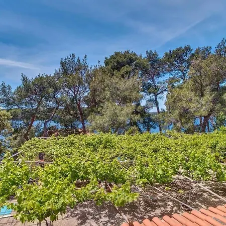 Pero Apartment Mali Lošinj